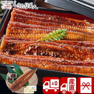 Ε  2025 y Ynz YȂăZbg iJzt PFU-017A | N Vzj v[g z 5000~ O Y V ȏd oYj C