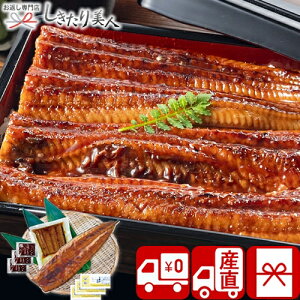 Ε  2025 y Ynz YȂăZbg iJzt PFU-018A | N oYj v[g O Y V ȏd  1~ȉ CNMtg j o