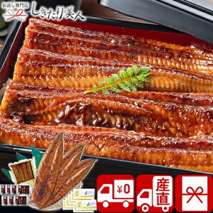 Ε  2025 y Ynz YȂăZbg iJzt PFU-022A | N v[g  O YEiM V ȏd V  p  CN