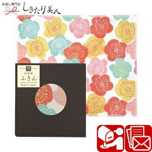 y[։zaz؂ӂ niE G-TYH-956 |Ε v`Mtg Օi Lb`ObY qpi pi 䏊pi 500~ 1000~ȉ a a ei i LOi Q ii v[g y