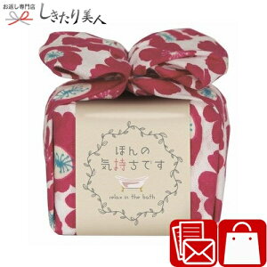 Ε  2025 ӂ͂ oXGbZXnJ` t[RE [Y̍ THOH-N605 | v`Mtg nJ` C~ 100  oX\[v މ@ Ԃ j Ԃ o