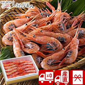 福井 甘エビ 魚介類の通販 価格比較 価格 Com
