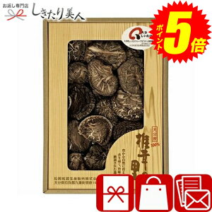 w|Cg5{I2410`2720܂ŁIx Ε  2025 ő̗ 啪Yőǂ B1079629 |Ε N NNn yY ő Y  lߍ킹 i p i 