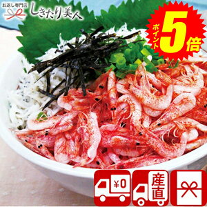 w|Cg5{I2410`2720܂ŁIx Ε  2025 y YnzÉ ΌY x͘pY gс炷Zbg V36107 |  TNGr g炷 CN O 