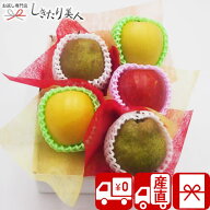 【送料無料 産地直送】野菜ソムリエ厳選！旬を満喫 季節のフルーツボックス Bコース FB-B |母の日 早割 …
