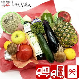【送料無料 産地直送】ベジフルギフト 笑顔コース FB-egao | フルーツボックス 果物 野菜 盛り合わせ 1万円 ギフト かご盛り 篭盛 詰合せ 両親 出産 新築 お祝い お返し お礼 誕生日 プレゼント 退院祝い 出産内祝い 一人暮らし応援 もり籠 しきたり美