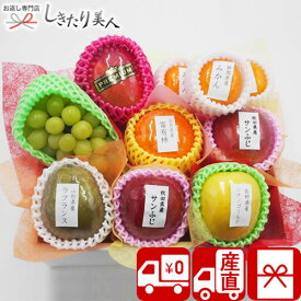 【送料無料 産地直送】野菜ソムリエ厳選！旬を満喫 季節のフルーツボックス Gコース FB-G | お年賀 フルーツ 果物 盛り合わせ 1万円 ギフト セット 出産 内祝い 退院祝い お見舞い返し お祝い お礼 両親 誕生日 プレゼント 出産内祝い 贈答用 お返し