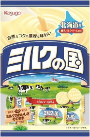春日井製菓 Nミルクの国 125g×12袋