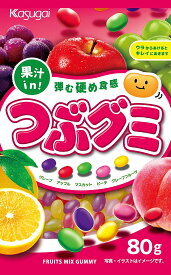 春日井製菓 Jつぶグミ 80g×6袋