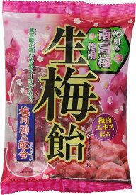 リボン 生梅飴 90g×12袋