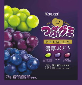 春日井製菓 つぶグミPREMIUM濃厚ぶどう 75g×10袋