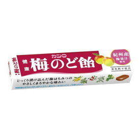 カンロ 健康のど飴梅スティック 11粒×10本