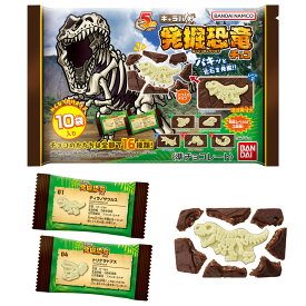 バンダイ 【大袋】キャラパキ発掘恐竜チョコ 90g×12袋