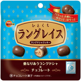 ブルボン ひとくちラングレイス 47g×10個