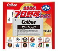 カルビー 2026プロ野球チップス 22g×24袋