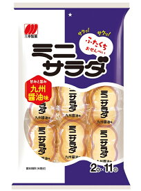 三幸製菓 ミニサラダ九州醤油味 22枚×16袋