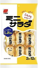 三幸製菓 ミニサラダ しお味 24枚×16個