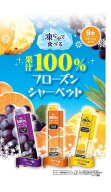 リボン 果汁100％フローズンシャーベット 9本×16個