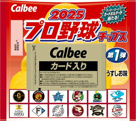カルビー 2025プロ野球チップス第1弾 22g×24袋