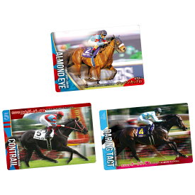 バンダイ サラブレッドホースコレクション ツインウエハース 第2R（20個入）1BOX