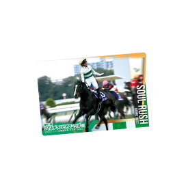 バンダイ サラブレッドホースコレクション ツインウエハース 第3R（20個入）1BOX