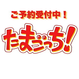 ���i�摜