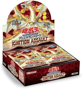 VY fGX^[Y IGNITION ASSAULT [BOX]