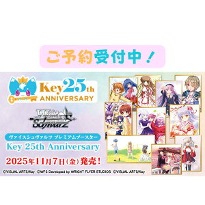 O116 @CXV@c v~Au[X^[ Key 25th Anniversary BOX 