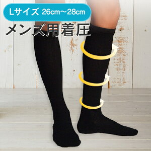 y\bNX Yzi26-28cmj\bNX100 R hL ̔ ނ Ö d fXN[N GRm~[ǌQ St ؓ rWlX\bNX \bNX ̓ 