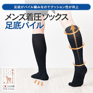 y\bNX YzipCj̃NbVpCC\bNX ̔ ނ Ö GRm~[ǌQ d fXN[N St tCg\bN