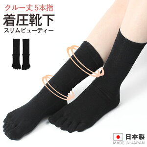 yNEWzyr \bNXzi ܖ{wC N[j5{w\bNX \bNXȍ \bNX ܖ{w\bNX ނݖh~C ̔ ނ Ö Dw }^jeB