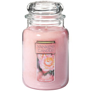 YANKEE CANDLE/L[LhYCW[L03tbVJbg[YYK006-05-03S̔ O[[t VgX bh[Y [jE zCgpE_[ XN tOX CeA 