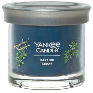 ENo.1tOXuh YANKEE CANDLEL[Lh YCVOl`[^u[S399xCTChV_[YK010-05-399xKbg O[yA[ O[vt[c }_ubT 