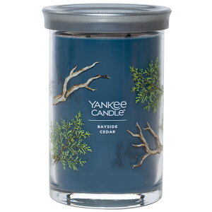 ENo.1tOXuh YANKEE CANDLEyKizL[Lh YCVOl`[^u[2EBbNi2{cj399xCTChV_[YK012-05-399xKbg O[vt[c ub