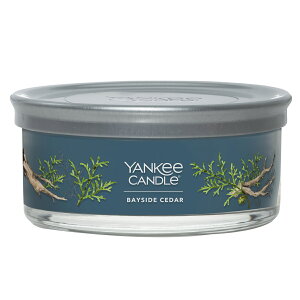 ENo.1tOXuh YANKEE CANDLEyKizL[Lh YCVOl`[^u[5EBbNi5{cj399xCTChV_[YK011-05-399xKbg O[vt[c }_