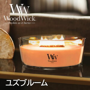 ���M�t�g�{�b�N�X���聙WoodWick �A���}�L�����h�� �n�[�X�E�B�b�N�i���Y�u���[���jWW944-05-112 Herthwick�i�����F�ؓX�j�d���� �p�`�p�`�� �t���O�����X �C���e���A �����΃L�����h�� WW94405112 �J