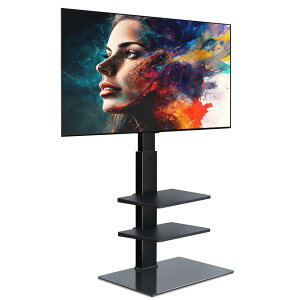 FITUEYES erX^h Ǌ񂹃erX^h ߉\ bN]\ ubN TT307001MB 3i