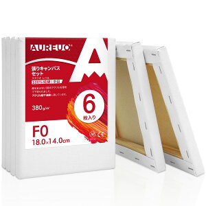 AUREUO LoX Zbg F0 (18cmX14cm)  100Rbg 6 S Gp |pGn G p ʉEGEANp