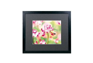 FUJICOLOR z Ch}bgt[ M3000 AN  ؐ ubN 406409