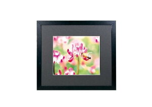 FUJICOLOR z Ch}bgt[ M3000 AN S ؐ ubN 406416