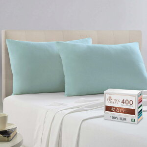 Pizuna RbgJo[400XbhJEg уOXe[v100TeD ʋC @Ő􂦂閍Jo[2s[X 43x63cm (xCr[u[)