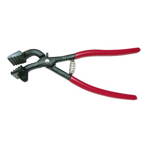 �z���x�C�� �L�����o�X ����� no.10 / ���� �v���C���[ �L�����o�X ���i �A�[�g