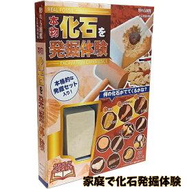 【マラソン限定!!ポイント3倍】触れる図鑑 化石発掘 体験 本物の化石が入った発掘キット / 実験 宿題 自由研究 夏休み 冬休み/ 対象期間[11/4日(火)20:00～11/11日(火)01:59]