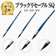 【マラソン限定!P増量】【選べる2点セット】 ホルベイン 水彩筆 ブラックリセーブル SQ 1号 3号 6号 クイ…