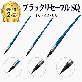 【選べる2点セット】 ホルベイン 水彩筆 ブラックリセーブル SQ 1号 3号 6号 クイル型 ラウンド 丸筆 リス毛 リセーブル毛 日本製 画材 水彩画 筆 高級水彩筆 絵の具 holbein