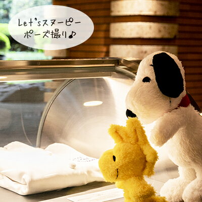 楽天市場 おかいものsnoopyオリジナル Woodstockポーズぬいぐるみスヌーピー ぬいぐるみ ウッドストック スヌーピーポーズぬいぐるみ ポーズ 立つ Snoopy インテリア スヌーピーグッズ ギフト おしゃれ かわいい キャラクター グッズ 大人 向け プレゼント おかい