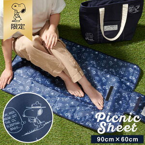 ySNOOPYzsNjbNV[g (r[OEXJEg) Xk[s[ W[V[g 90cm×60cm sNjbN V[g W[ AEghA lCr[ SNOOPY Xk[s[ObY Mtg v[