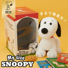【おかいものSNOOPY限定】My size SNOOPY (おすわり) 対象年齢：6才以上 H30×W20×D30cm クッキーぬいぐるみφ9cm SNOOPY スヌーピーグッズ ギフト プレゼント おしゃれ かわいい ピーナッツ キャラクター グッズ ギフトセレクション ギフトにおすすめアイテム