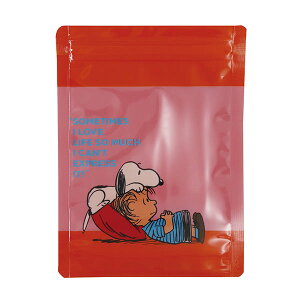 Xk[s[ Xg[WobOZbg 4P (Xk[s[CiX^IW) Wbp[obO 140×55×190(h)mm PQ-910 SNOOPY Xk[s[ObY Mtg v[g  킢 s[ibc L