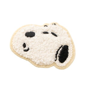 Xk[s[ AbvPfRhJXebJ[ (J) V[AXebJ[ pbP[WTCYF8cm×6.5cm SAC50 SNOOPY Xk[s[ObY Mtg v[g  킢 s[ib